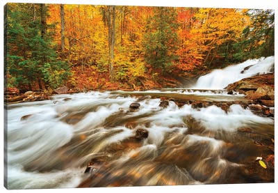 Canada, Ontario, Rosseau. Skeleton River at Hatchery Falls in autumn. Canvas Art Print - Ontario Art