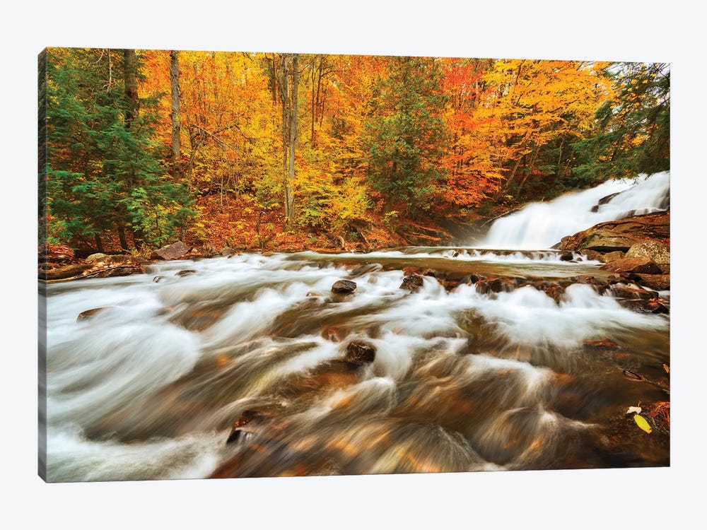 Canada, Ontario, Rosseau. Skeleton River at Hatchery Falls in autumn. by Jaynes Gallery 1-piece Canvas Art