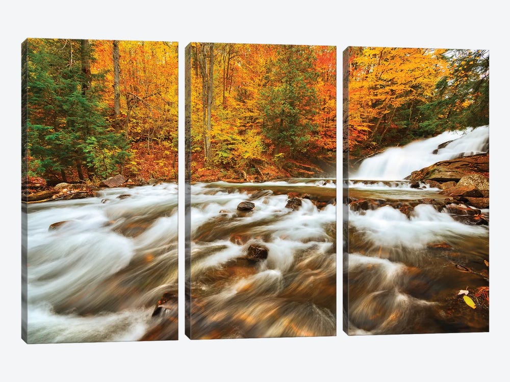 Canada, Ontario, Rosseau. Skeleton River at Hatchery Falls in autumn. by Jaynes Gallery 3-piece Canvas Wall Art