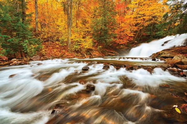 Ontario: Canada, Ontario, Rosseau. Skeleton River at Hatchery Falls in autumn. by Jaynes Gallery