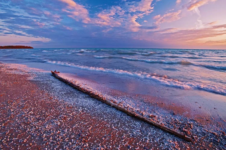 Canada, Ontario, Sandbanks Provincial Park. Pebbles and shells on Lake Ontario shoreline.