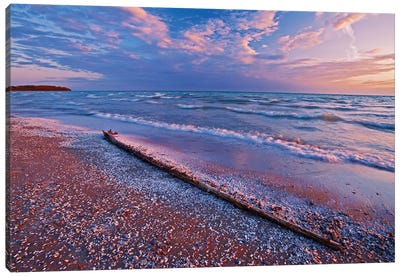Canada, Ontario, Sandbanks Provincial Park. Pebbles and shells on Lake Ontario shoreline. Canvas Art Print - Ontario Art