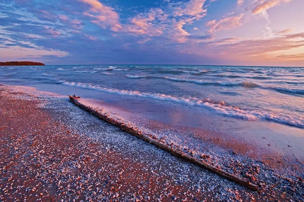 Ontario: Canada, Ontario, Sandbanks Provincial Park. Pebbles and shells on Lake Ontario shoreline. by Jaynes Gallery