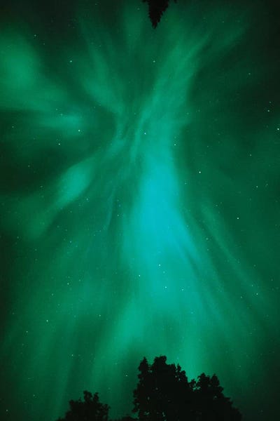 Canada, Ontario, Sudbury. Northern Lights and trees.