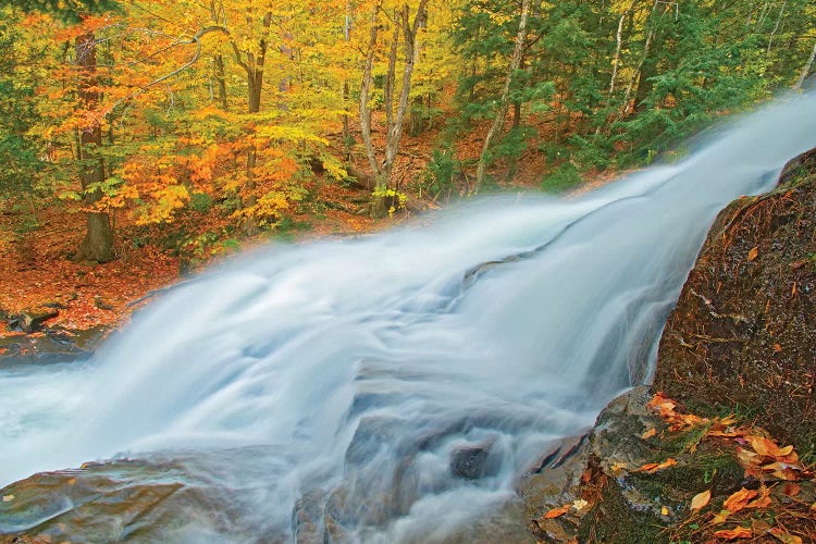 Canada, Ontario. Skeleton River at Hatchery Falls in autumn.