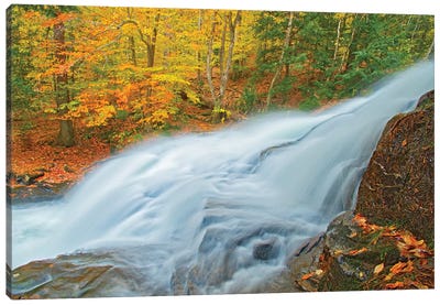 Canada, Ontario. Skeleton River at Hatchery Falls in autumn. Canvas Art Print - Ontario Art