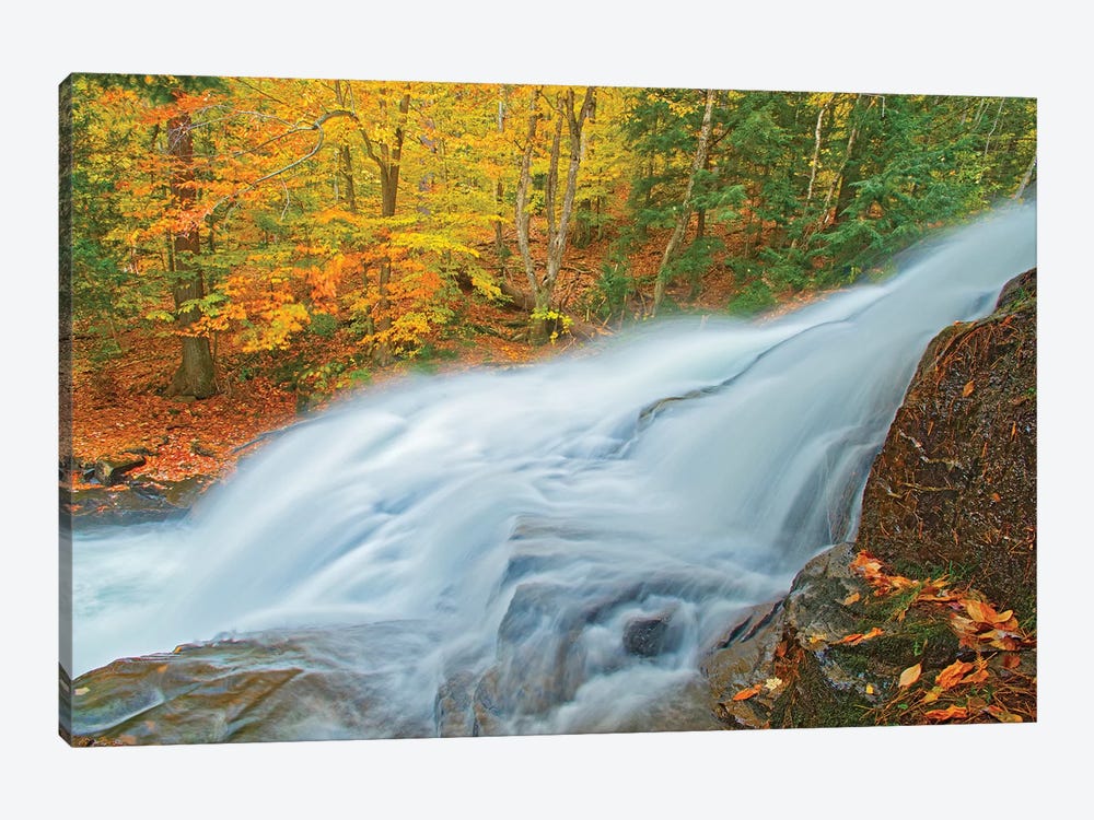Canada, Ontario. Skeleton River at Hatchery Falls in autumn. by Jaynes Gallery 1-piece Art Print