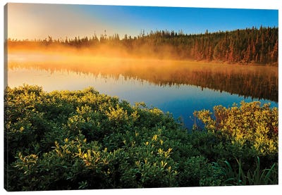 Canada, Quebec, Lac A Thompson. Sunrise mist on lake. Canvas Art Print - Quebec Art