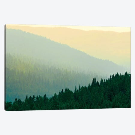 Canada, Quebec, Parc national des Laurentides. Misty Laurentian Mountains forests. Canvas Print #JYG481} by Jaynes Gallery Art Print
