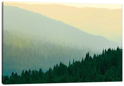 Canada, Quebec, Parc national des Laurentides. Misty Laurentian Mountains forests. Canvas Art Print - Quebec Art