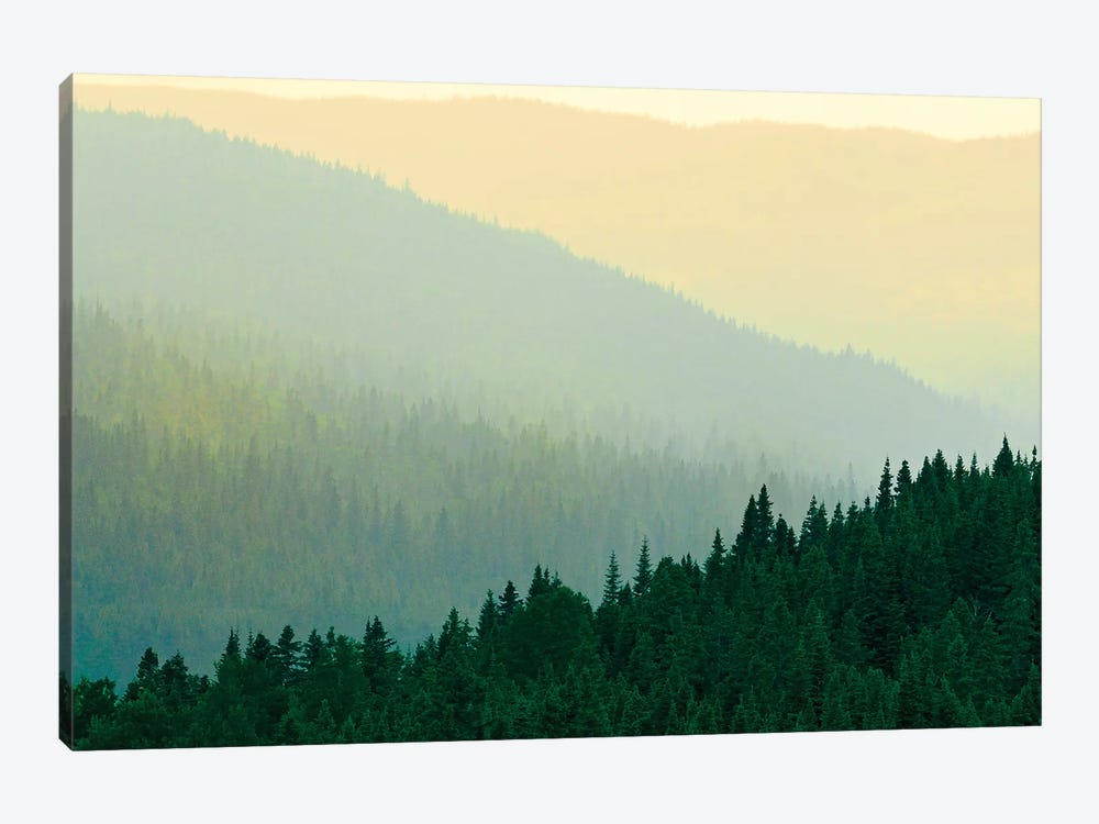 Canada, Quebec, Parc national des Laurentides. Misty Laurentian Mountains forests. by Jaynes Gallery 1-piece Canvas Wall Art