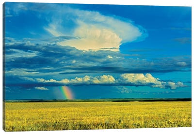 Canada, Saskatchewan, Grasslands National Park. Storm and rainbow over prairie. Canvas Art Print - Rainbow Art