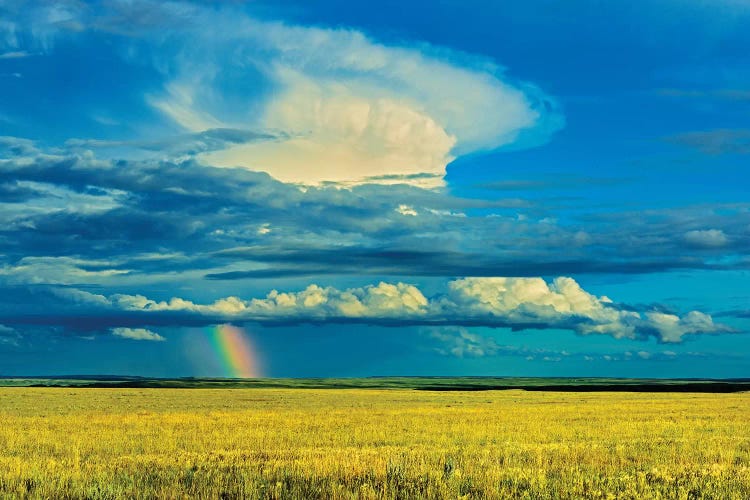 Canada, Saskatchewan, Grasslands National Park. Storm and rainbow over prairie.