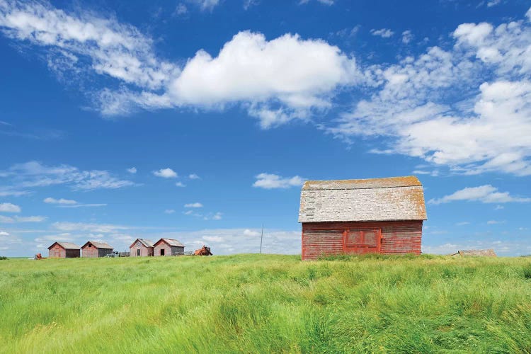 Canada, Saskatchewan, Hazenmore. Wooden granaries.