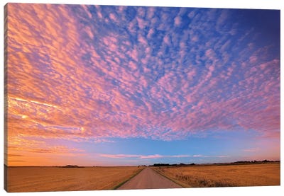 Canada, Saskatchewan, Lepine. Clouds over prairie road at sunrise. Canvas Art Print - Canada Art