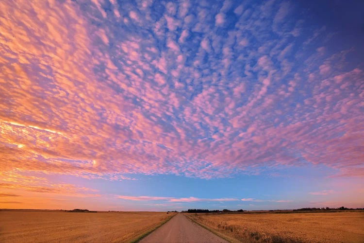 Canada, Saskatchewan, Lepine. Clouds over prairie road at sunrise.