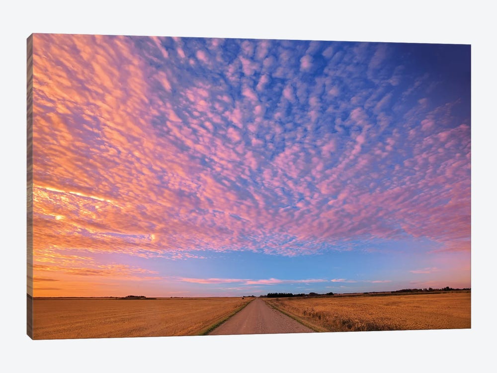 Canada, Saskatchewan, Lepine. Clouds over prairie road at sunrise. by Jaynes Gallery 1-piece Canvas Artwork