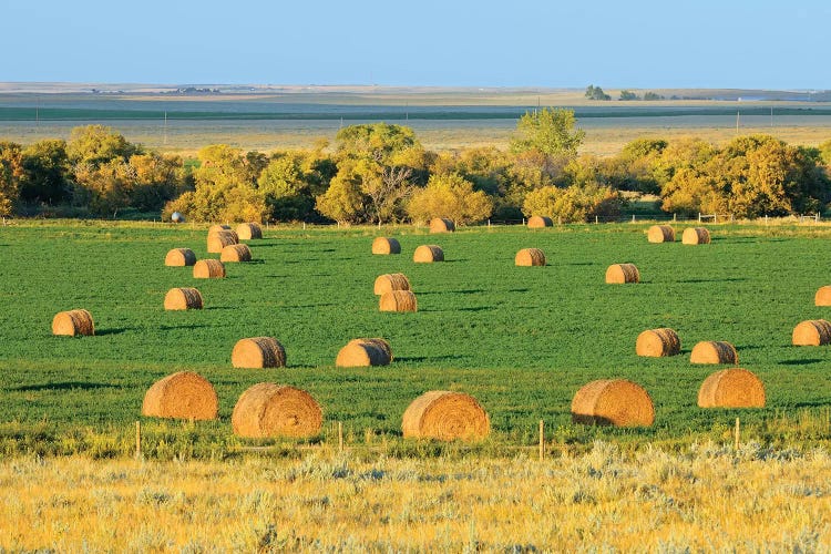 Canada, Saskatchewan, Maple Creek. Bales at sunset, Saskatchewan, Canada. by Jaynes Gallery wall art