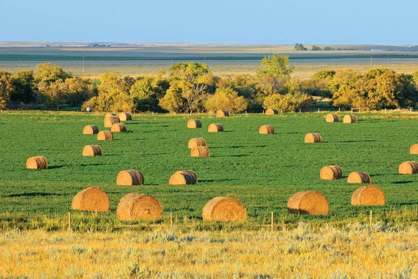Jaynes Gallery: Canada, Saskatchewan, Maple Creek. Bales at sunset, Saskatchewan, Canada. by Jaynes Gallery