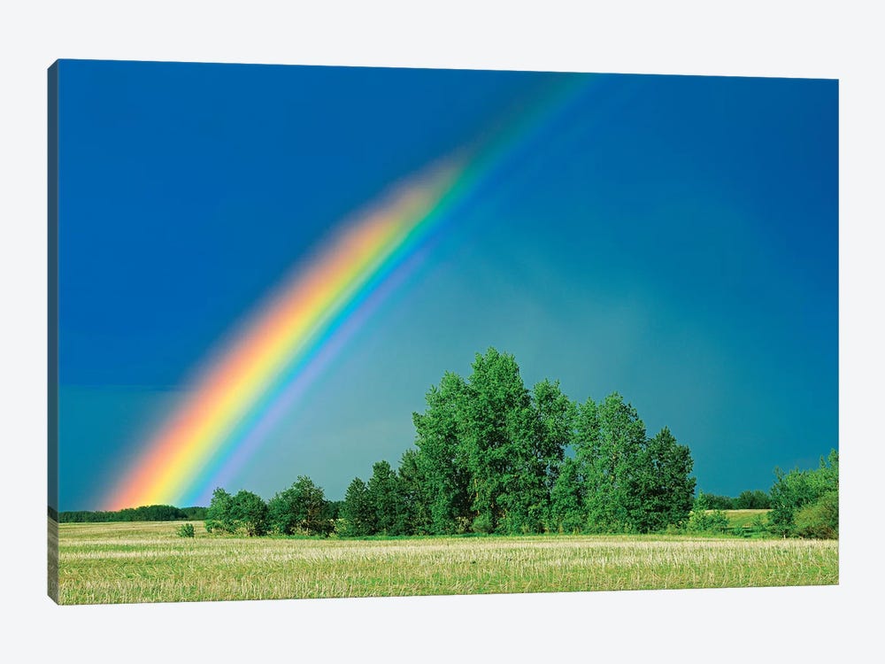 Canada, Saskatchewan, Wroxton. Rainbow over grassland. by Jaynes Gallery 1-piece Canvas Art Print