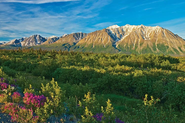 Canada, Yukon. St. Elias Mountains and forested valley.