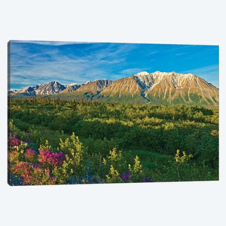 Canada, Yukon. St. Elias Mountains and forested valley. Canvas Print #JYG501} by Jaynes Gallery Canvas Wall Art