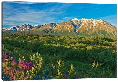 Canada, Yukon. St. Elias Mountains and forested valley. Canvas Art Print