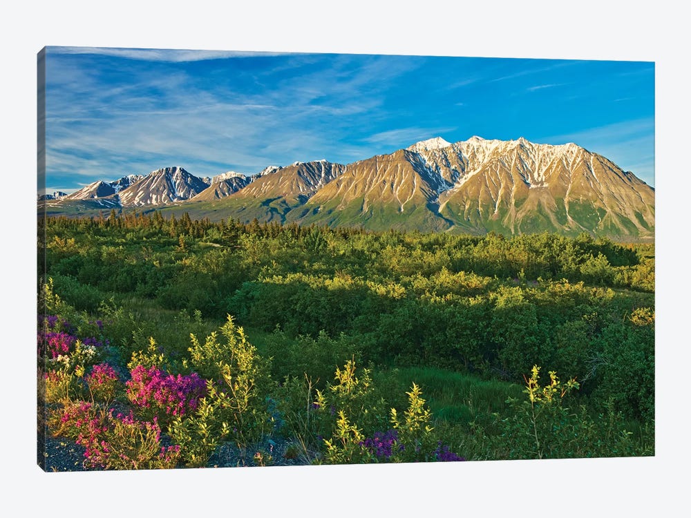 Canada, Yukon. St. Elias Mountains and forested valley. by Jaynes Gallery 1-piece Art Print