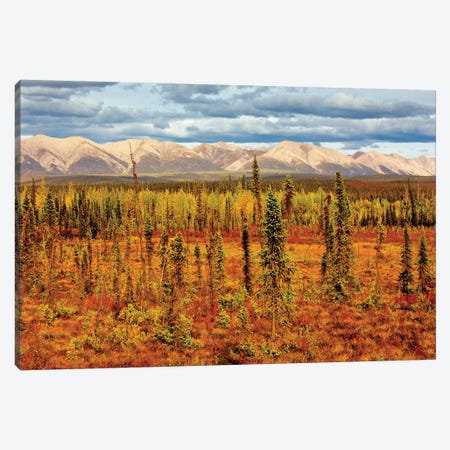 Canada, Yukon. Sub-Arctic vegetation. Canvas Print #JYG502} by Jaynes Gallery Canvas Wall Art