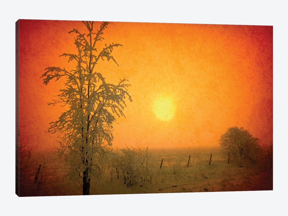 Canada. Abstract of frosty sunrise. by Jaynes Gallery 1-piece Canvas Wall Art