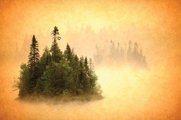 Evergreen Trees: Canada. Abstract of islands in lake mist. by Jaynes Gallery