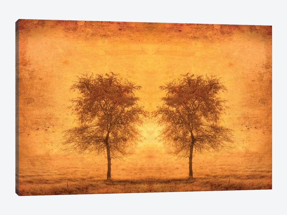 Canada. Trees in fog at sunrise. by Jaynes Gallery 1-piece Art Print