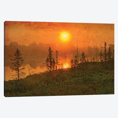 Canada. Wetland sunrise. Canvas Print #JYG512} by Jaynes Gallery Canvas Art Print