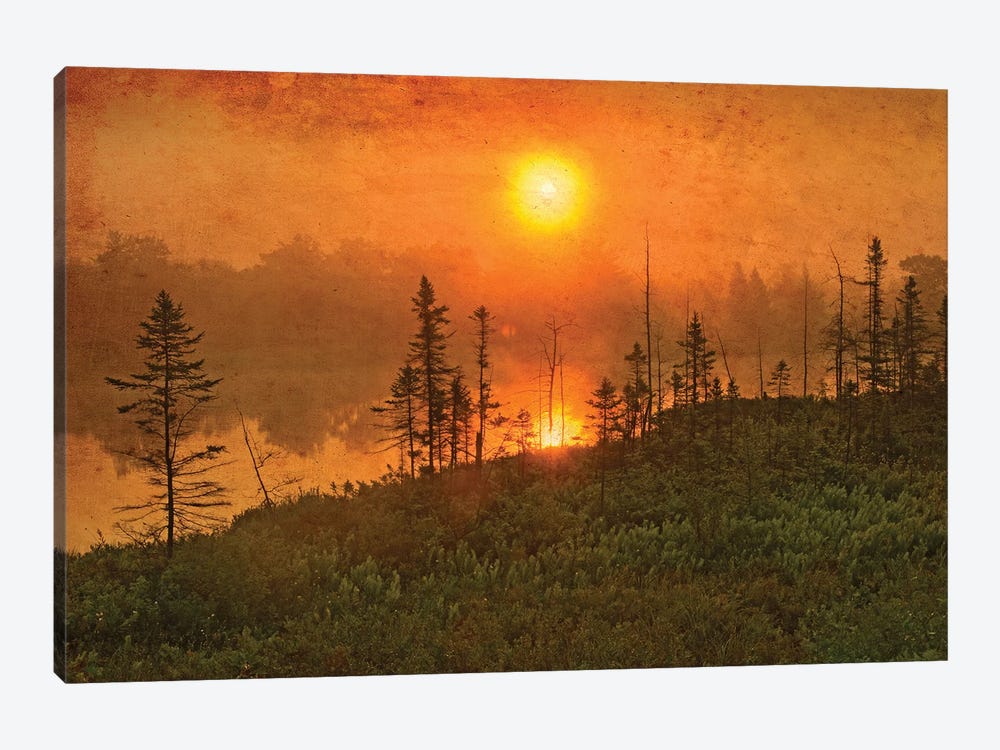 Canada. Wetland sunrise. by Jaynes Gallery 1-piece Canvas Art Print
