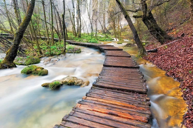 Croatia, Plitvice Lakes National Park. Wooden walkway over stream. 