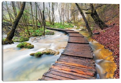 Croatia, Plitvice Lakes National Park. Wooden walkway over stream.  Canvas Art Print - Croatia Art