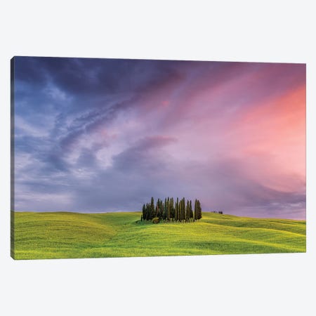 Italy, San Quirico d'Orcia. Cypress grove at sunset.  Canvas Print #JYG568} by Jaynes Gallery Canvas Wall Art