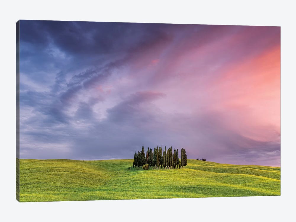Italy, San Quirico d'Orcia. Cypress grove at sunset.  by Jaynes Gallery 1-piece Canvas Art