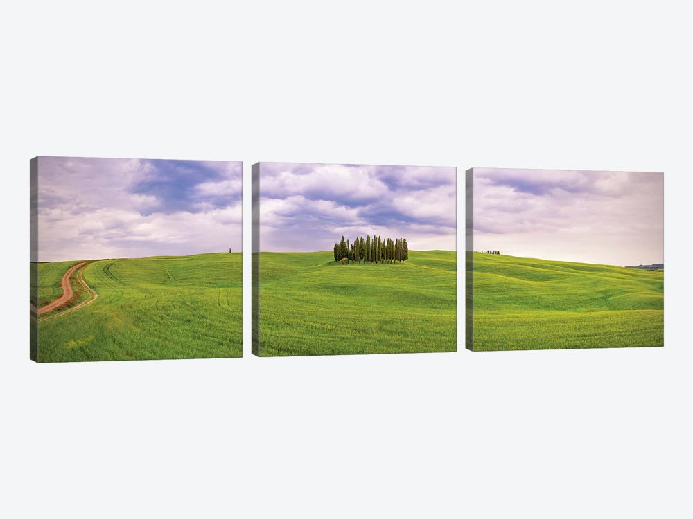 Italy, San Quirico d'Orcia. Cypress grove in panoramic.  by Jaynes Gallery 3-piece Art Print