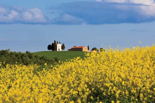 Italy, Tuscany, Val d'Orcia. Chapel of Vitaleta and farmhouse.