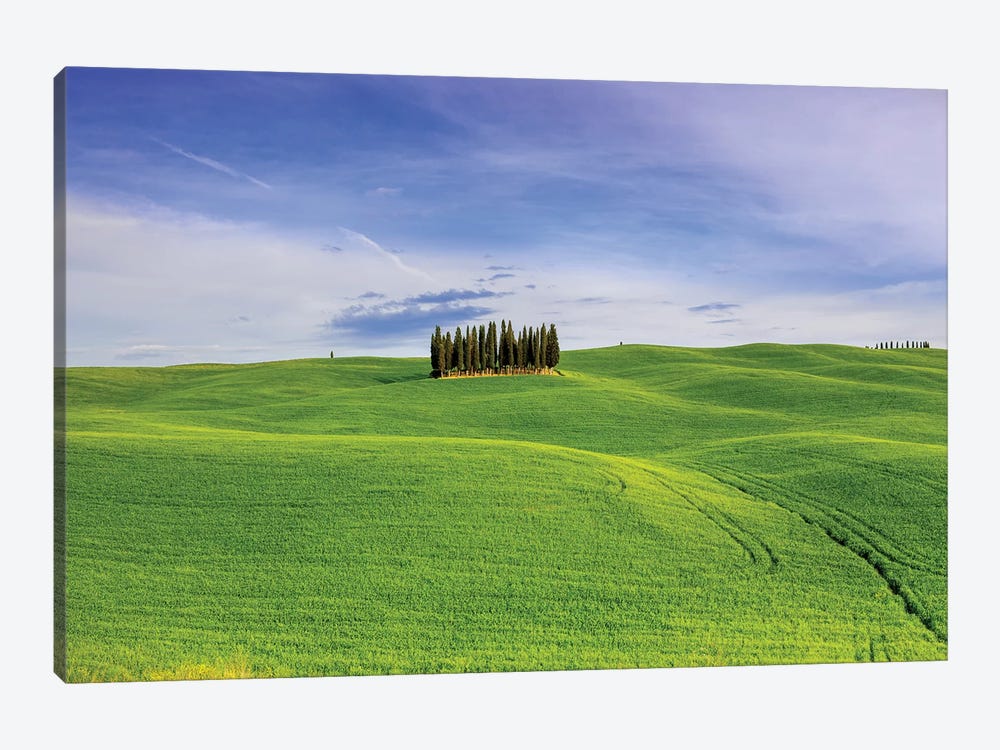 Italy, Tuscany, Val d'Orcia. Famous cypress grove.  by Jaynes Gallery 1-piece Canvas Art Print