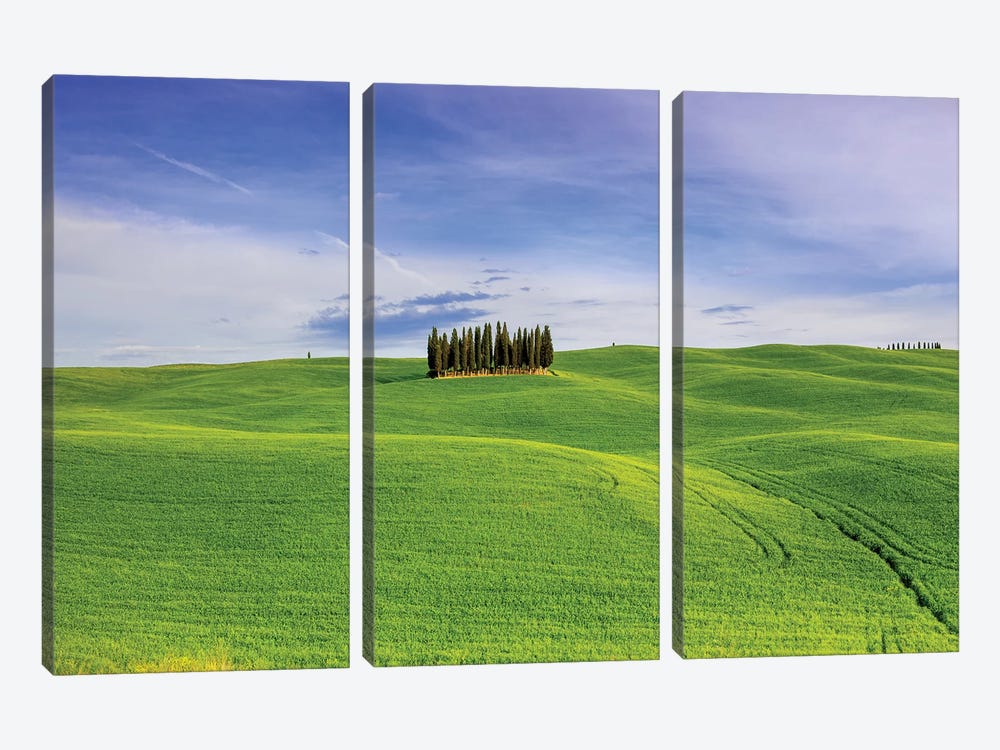 Italy, Tuscany, Val d'Orcia. Famous cypress grove.  by Jaynes Gallery 3-piece Art Print