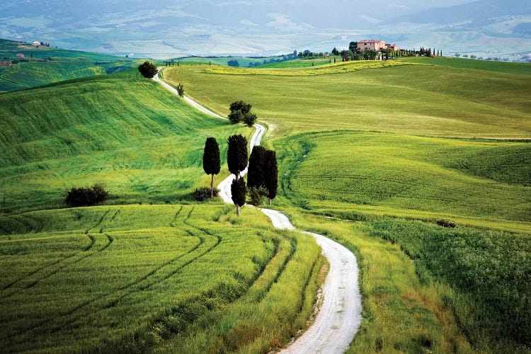 Italy, Tuscany, Val d'Orcia. Road to Terrapile farmhouse.  by Jaynes Gallery wall art