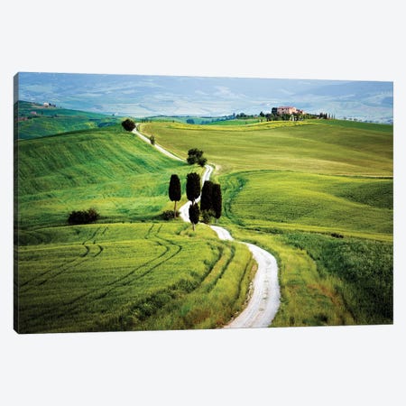 Italy, Tuscany, Val d'Orcia. Road to Terrapile farmhouse.  Canvas Print #JYG579} by Jaynes Gallery Art Print