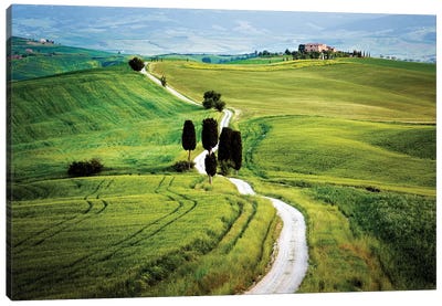 Italy, Tuscany, Val d'Orcia. Road to Terrapile farmhouse.  Canvas Art Print
