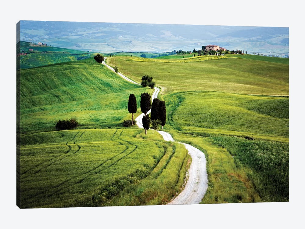 Italy, Tuscany, Val d'Orcia. Road to Terrapile farmhouse.  by Jaynes Gallery 1-piece Canvas Artwork