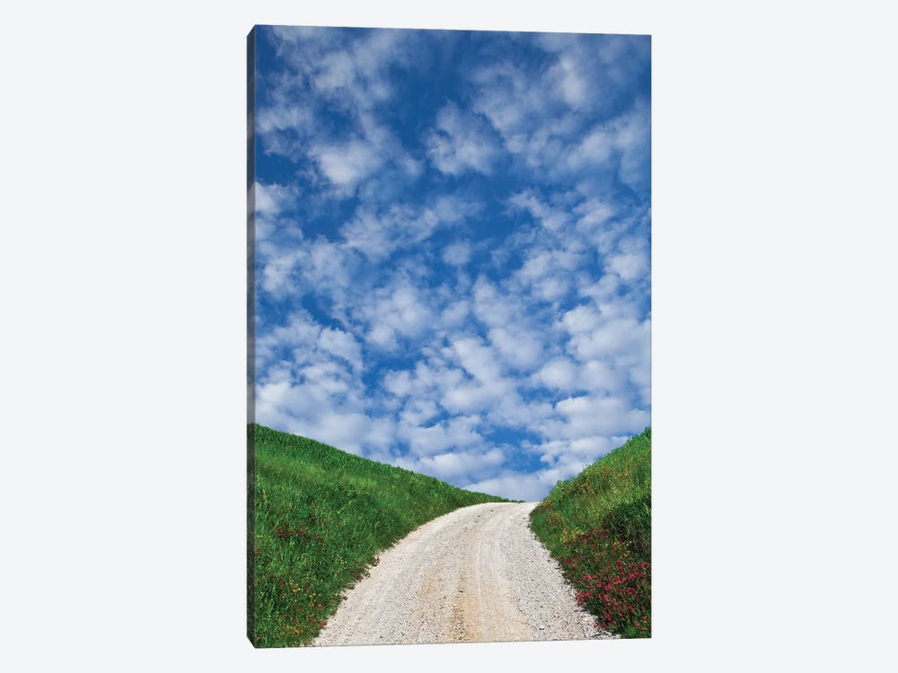Italy, Tuscany. Dirt road to villa. by Jaynes Gallery 1-piece Art Print