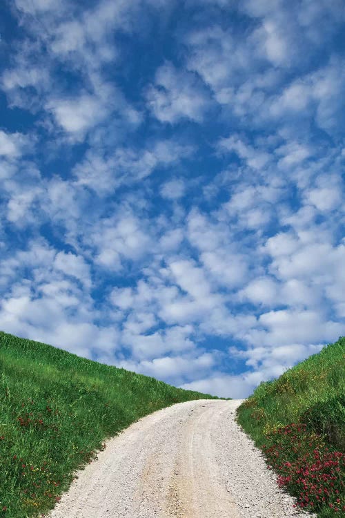 Italy, Tuscany. Dirt road to villa.