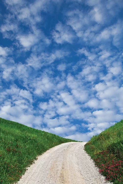 Italy, Tuscany. Dirt road to villa. by Jaynes Gallery wall art