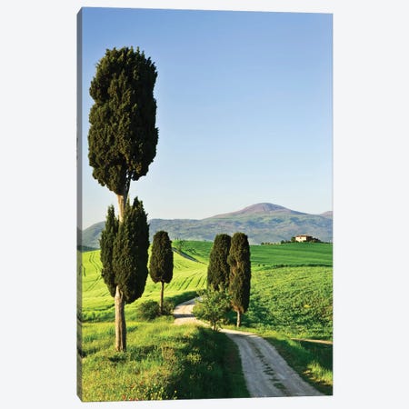 Italy, Tuscany. Landscape with villa Canvas Print #JYG59} by Jaynes Gallery Canvas Art Print